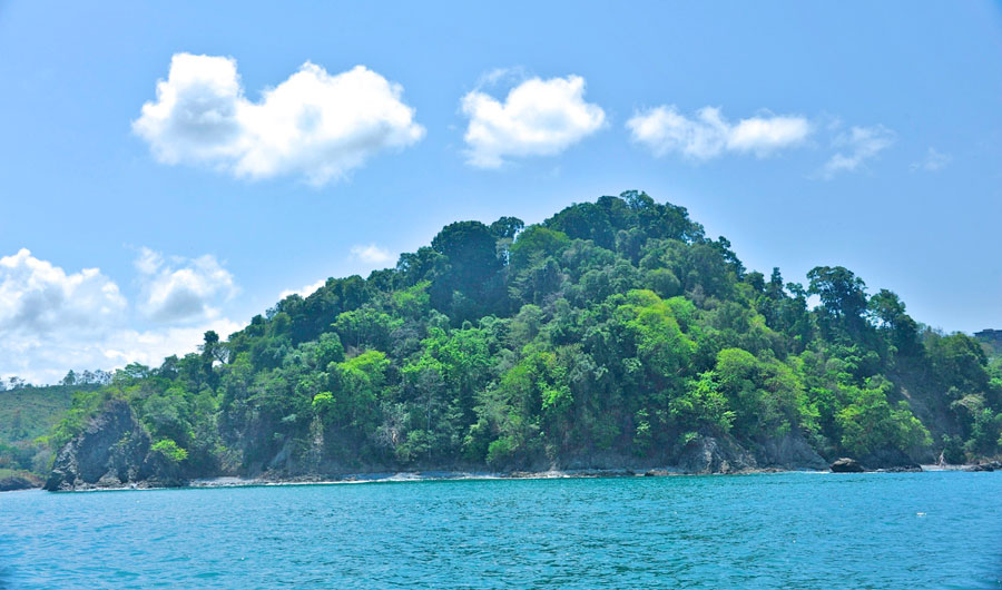 Manuel Antonio Catamaran Adventures | The Ocean King